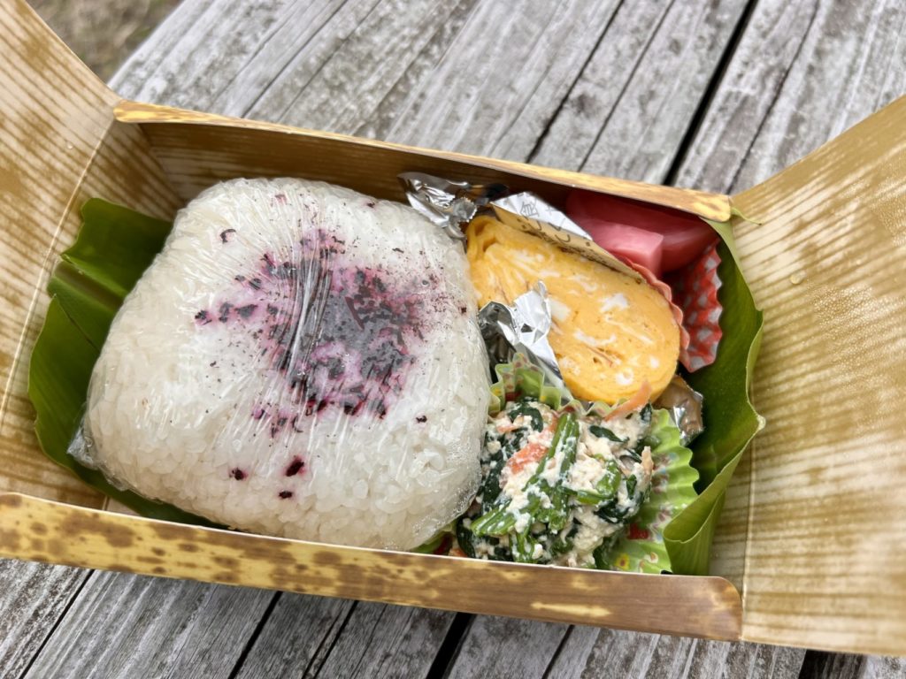 村おこしボランティア【中之島コース】での活動の様子