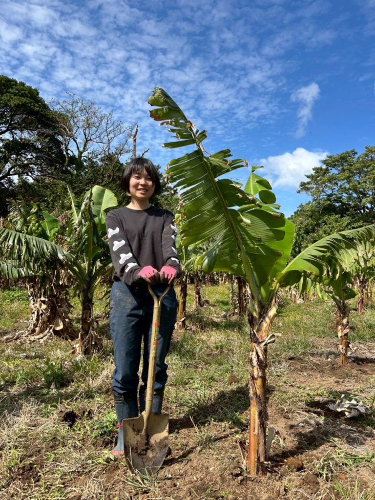 村おこしボランティア【中之島コース】での活動の様子