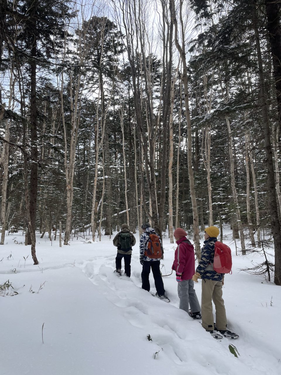 村おこしボランティア【然別湖コタンコース】での活動の様子