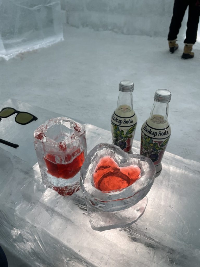 村おこしボランティア【然別湖コタンコース】での活動の様子