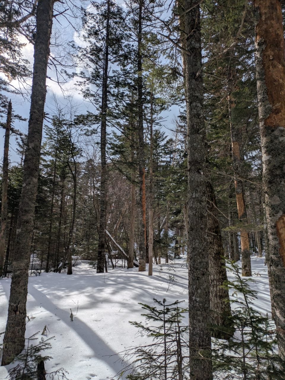 村おこしボランティア【然別湖コタンコース】での活動の様子