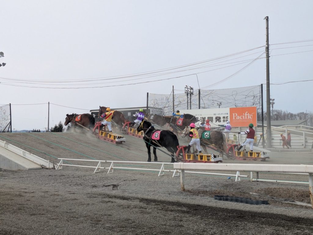 村おこしボランティア【然別湖コタンコース】での活動の様子