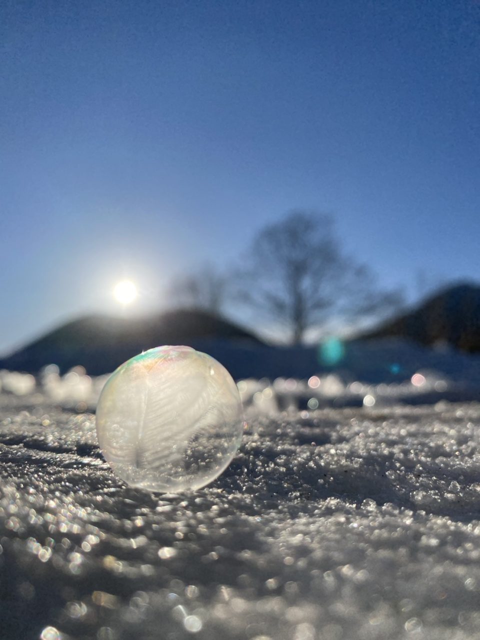 村おこしボランティア【然別湖コタンコース】での活動の様子