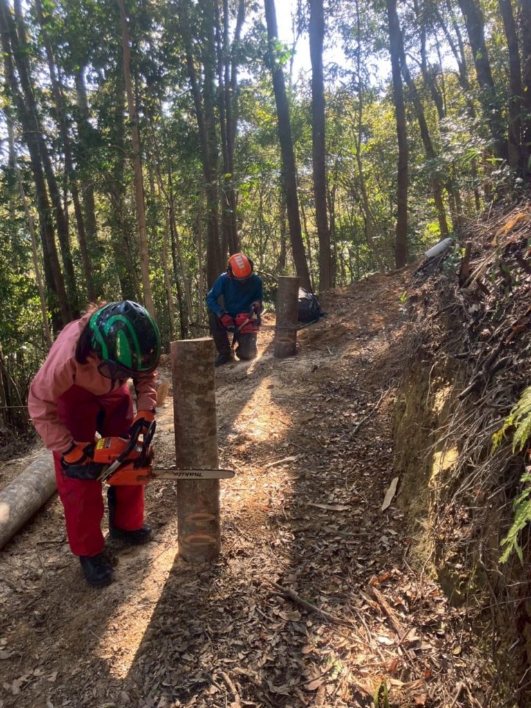 村おこしボランティア【四万十川・林業コース】での活動の様子