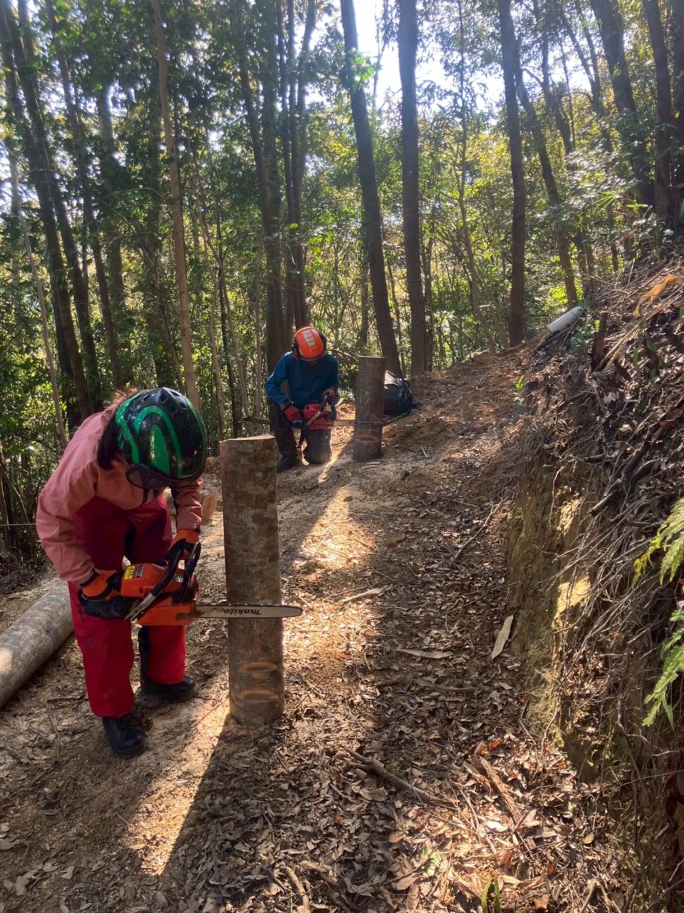 村おこしボランティア【四万十川・林業コース】での活動の様子