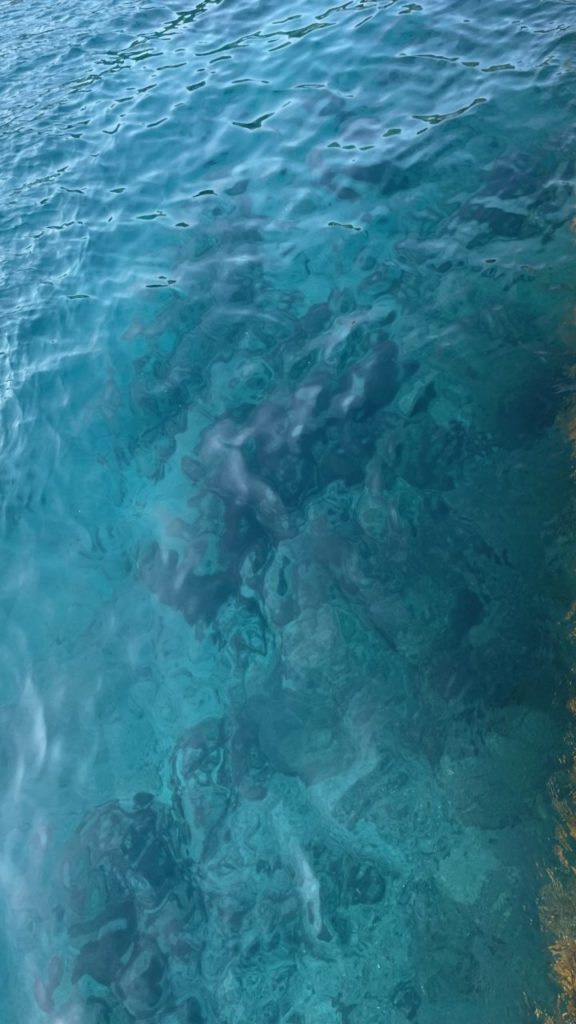 村おこしボランティア【さつま竹島コース】での活動の様子