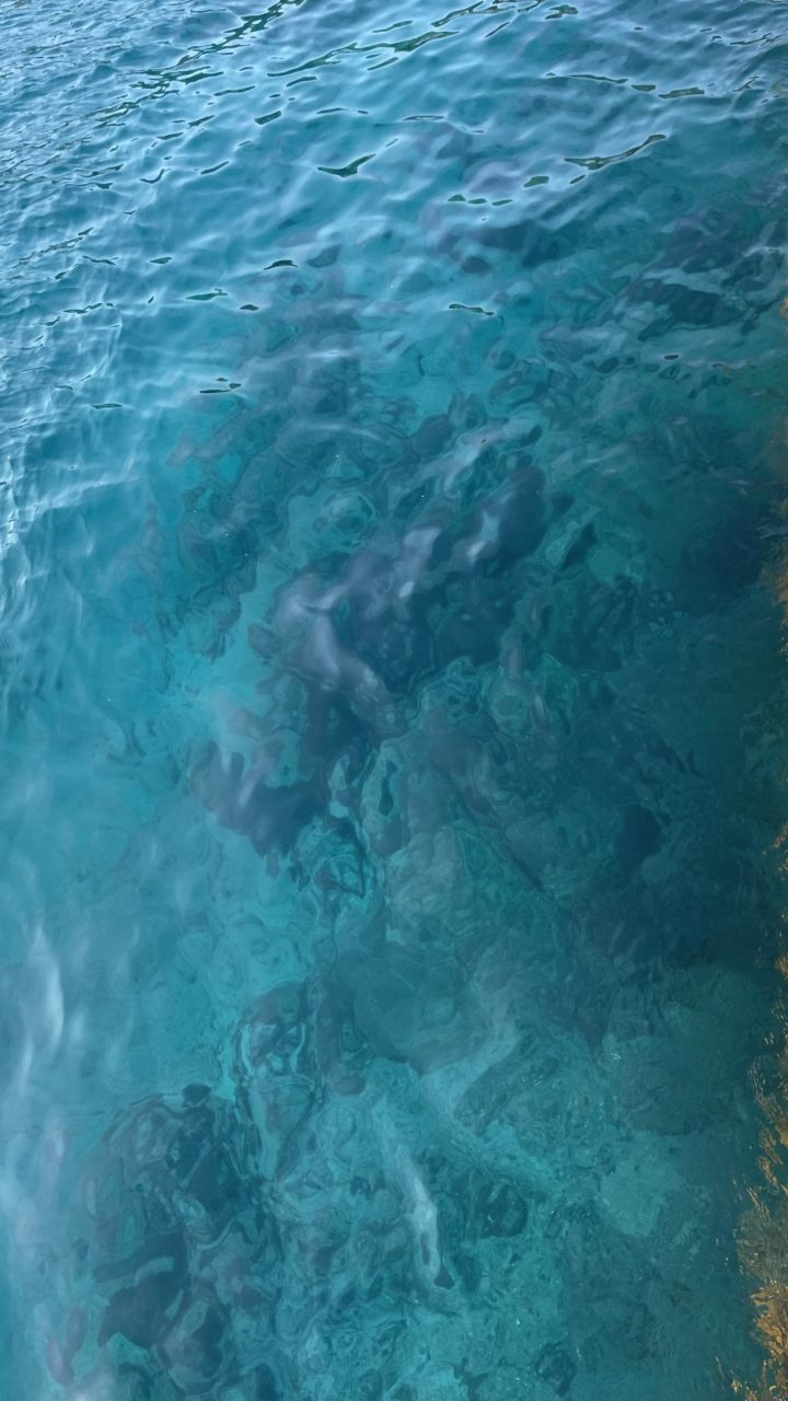 村おこしボランティア【さつま竹島コース】での活動の様子