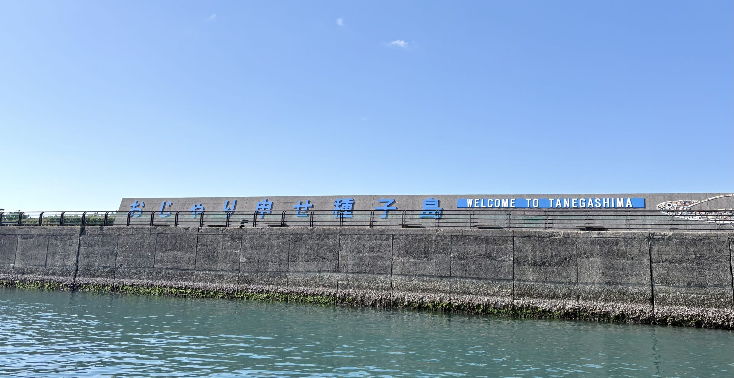 村おこしボランティア【種子島コース】での活動の様子