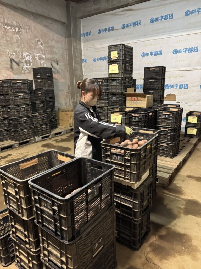 村おこしボランティア【種子島コース】での活動の様子