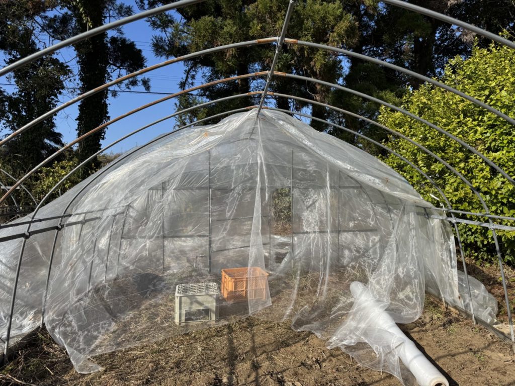 村おこしボランティア【種子島コース】での活動の様子