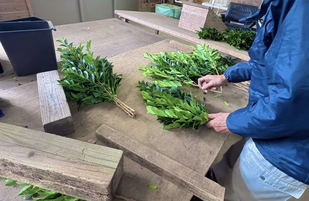 村おこしボランティア【種子島コース】での活動の様子