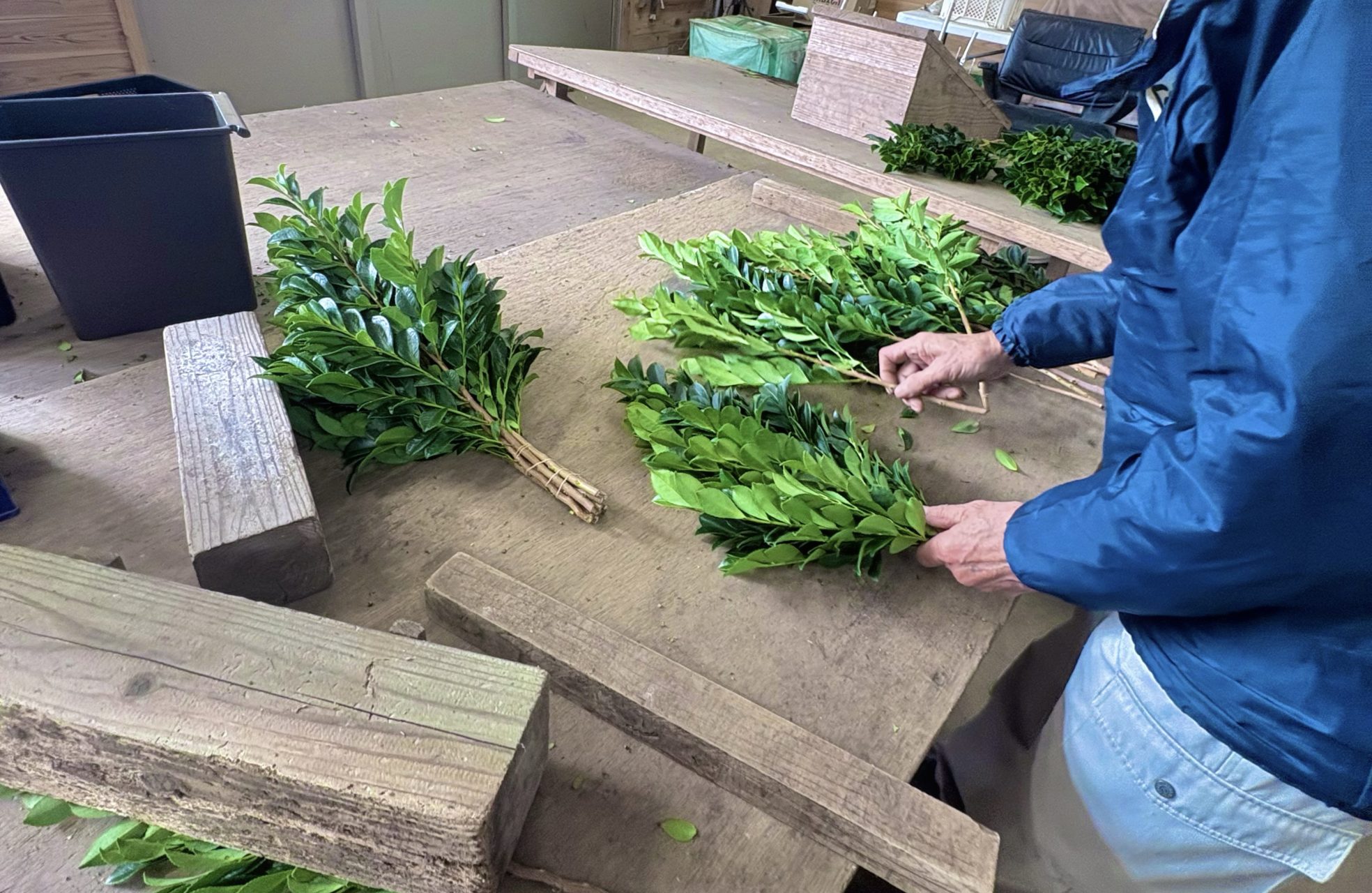 村おこしボランティア【種子島コース】での活動の様子