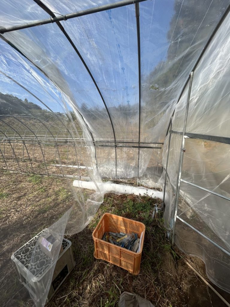 村おこしボランティア【種子島コース】での活動の様子