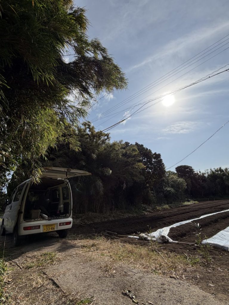 村おこしボランティア【種子島コース】での活動の様子