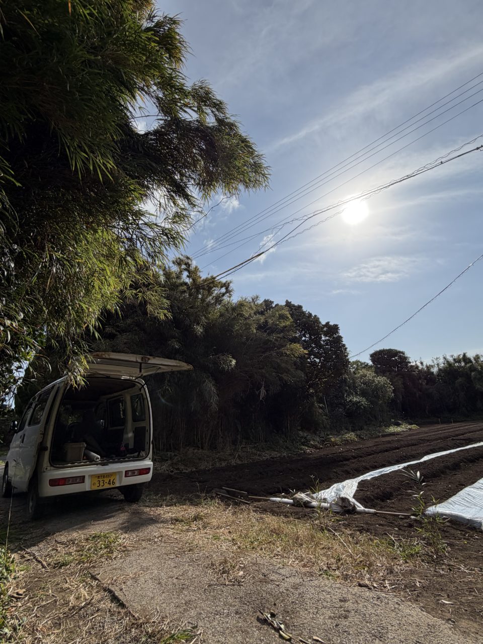 村おこしボランティア【種子島コース】での活動の様子