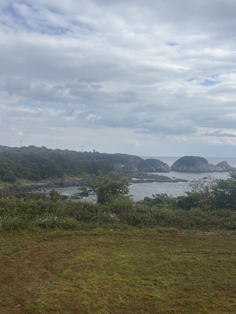 村おこしボランティア【屋久島コース】での活動の様子
