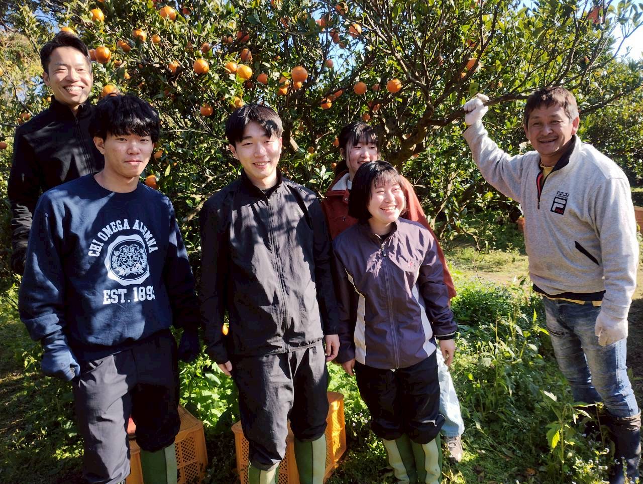 村おこしボランティア【屋久島コース】での活動の様子