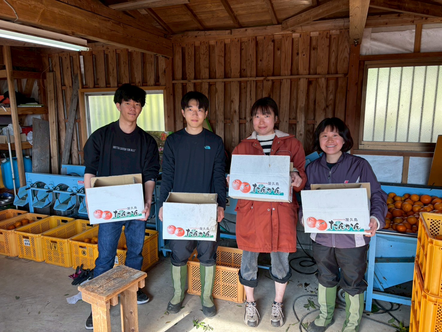 村おこしボランティア【屋久島コース】での活動の様子