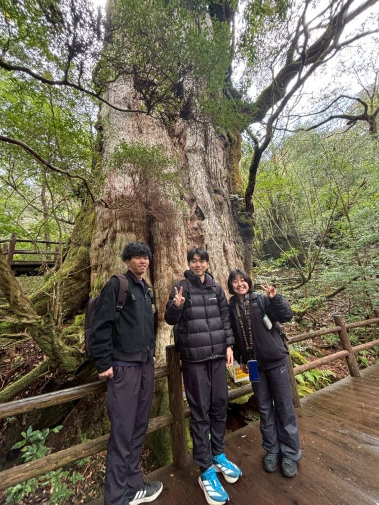 村おこしボランティア【屋久島コース】での活動の様子