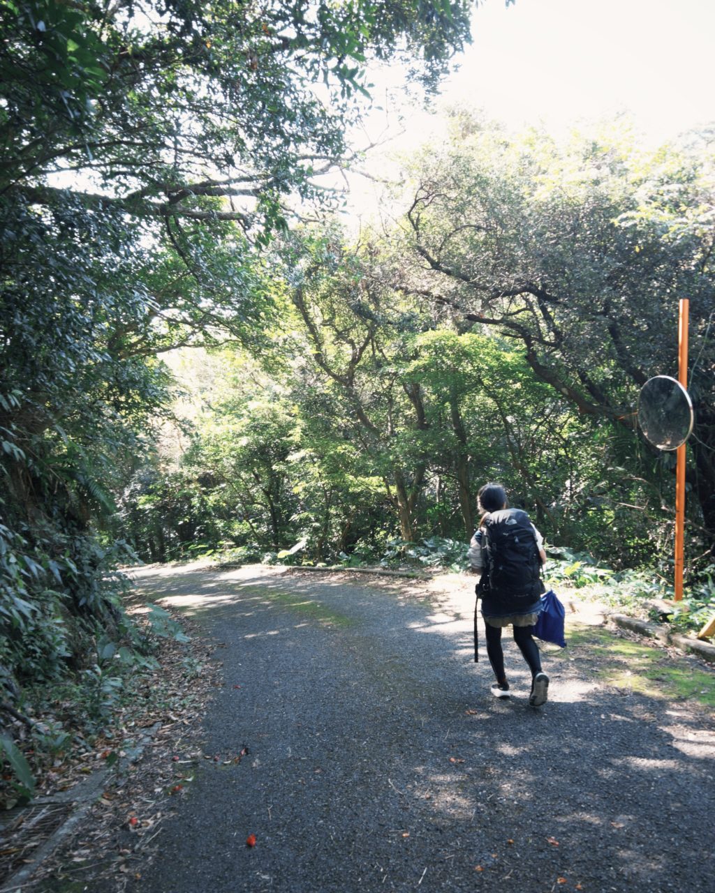 村おこしボランティア【屋久島コース】での活動の様子
