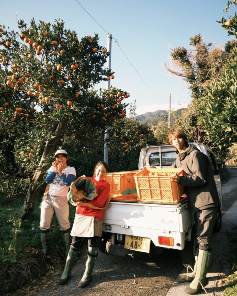 村おこしボランティア【屋久島コース】での活動の様子