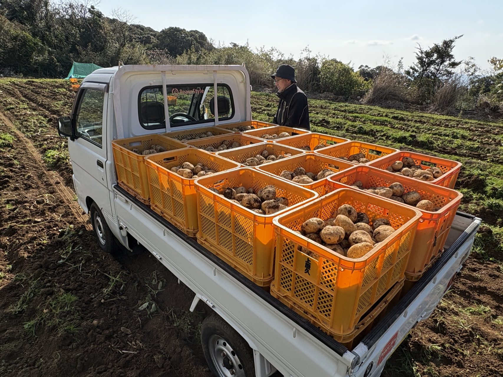 村おこしボランティア【屋久島コース】での活動の様子