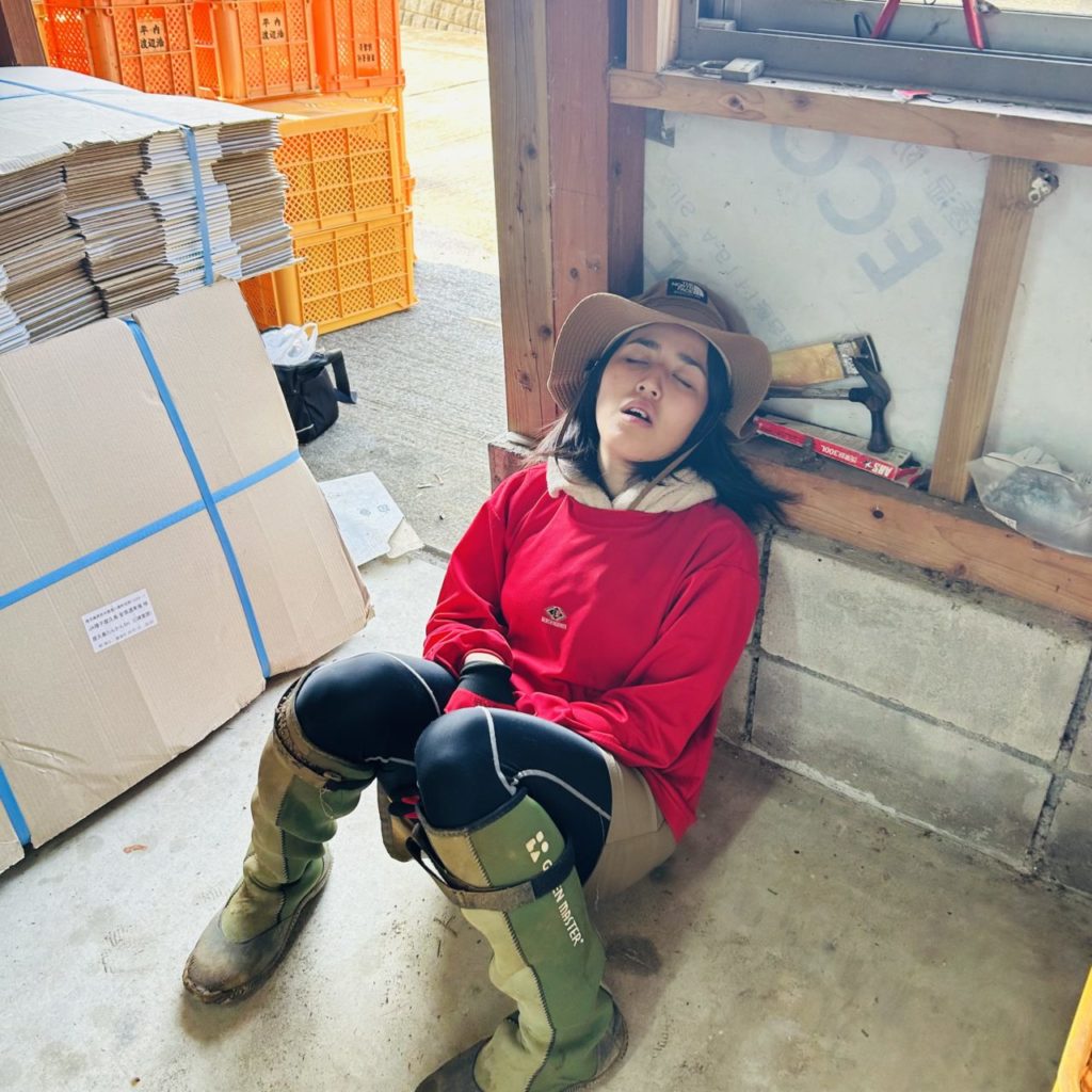 村おこしボランティア【屋久島コース】での活動の様子