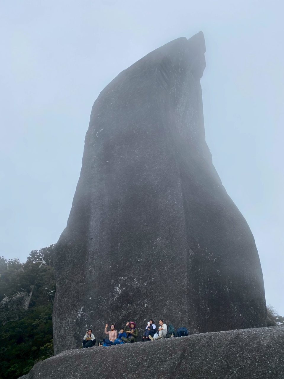村おこしボランティア【屋久島コース】での活動の様子
