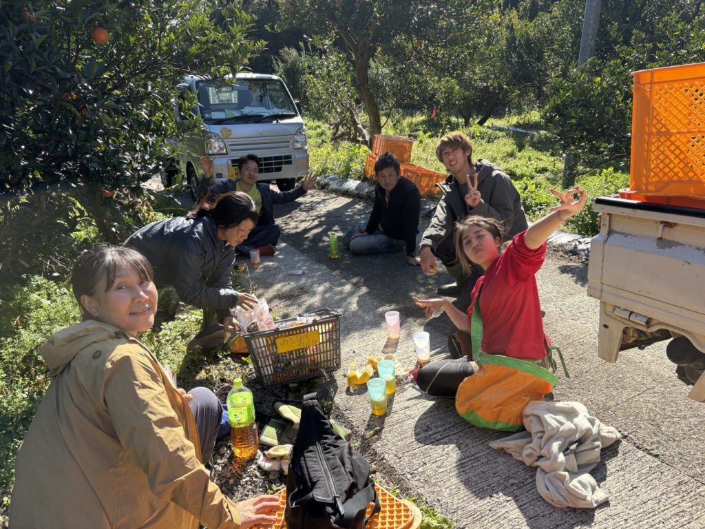 村おこしボランティア【屋久島コース】での活動の様子