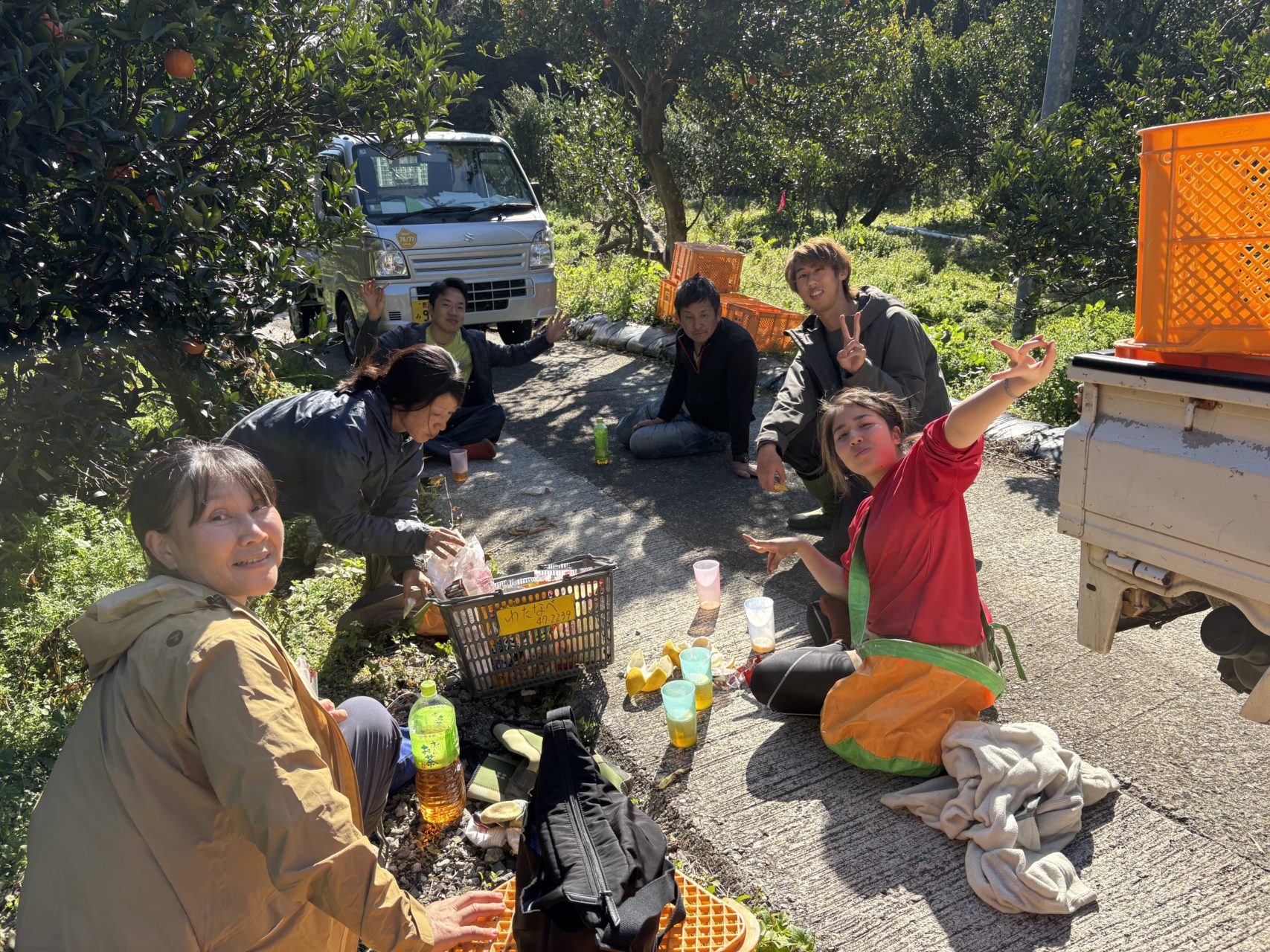 村おこしボランティア【屋久島コース】での活動の様子