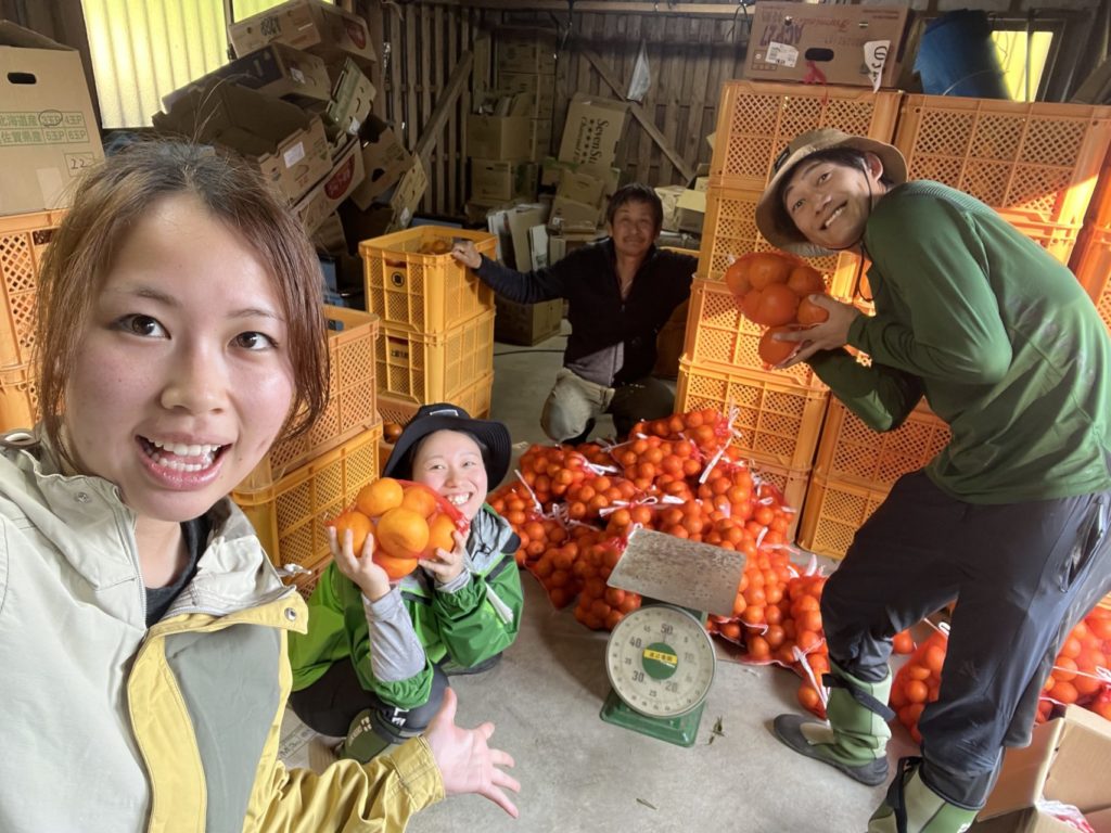 村おこしボランティア【屋久島コース】での活動の様子