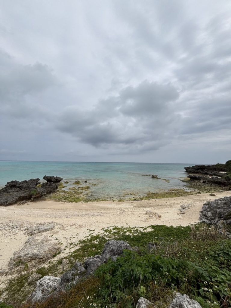 村おこしボランティア【与論島コース】での活動の様子