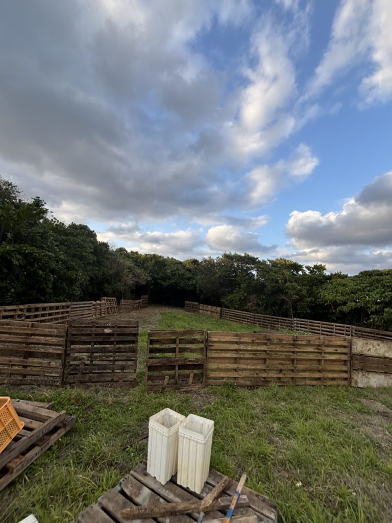 村おこしボランティア【与論島コース】での活動の様子