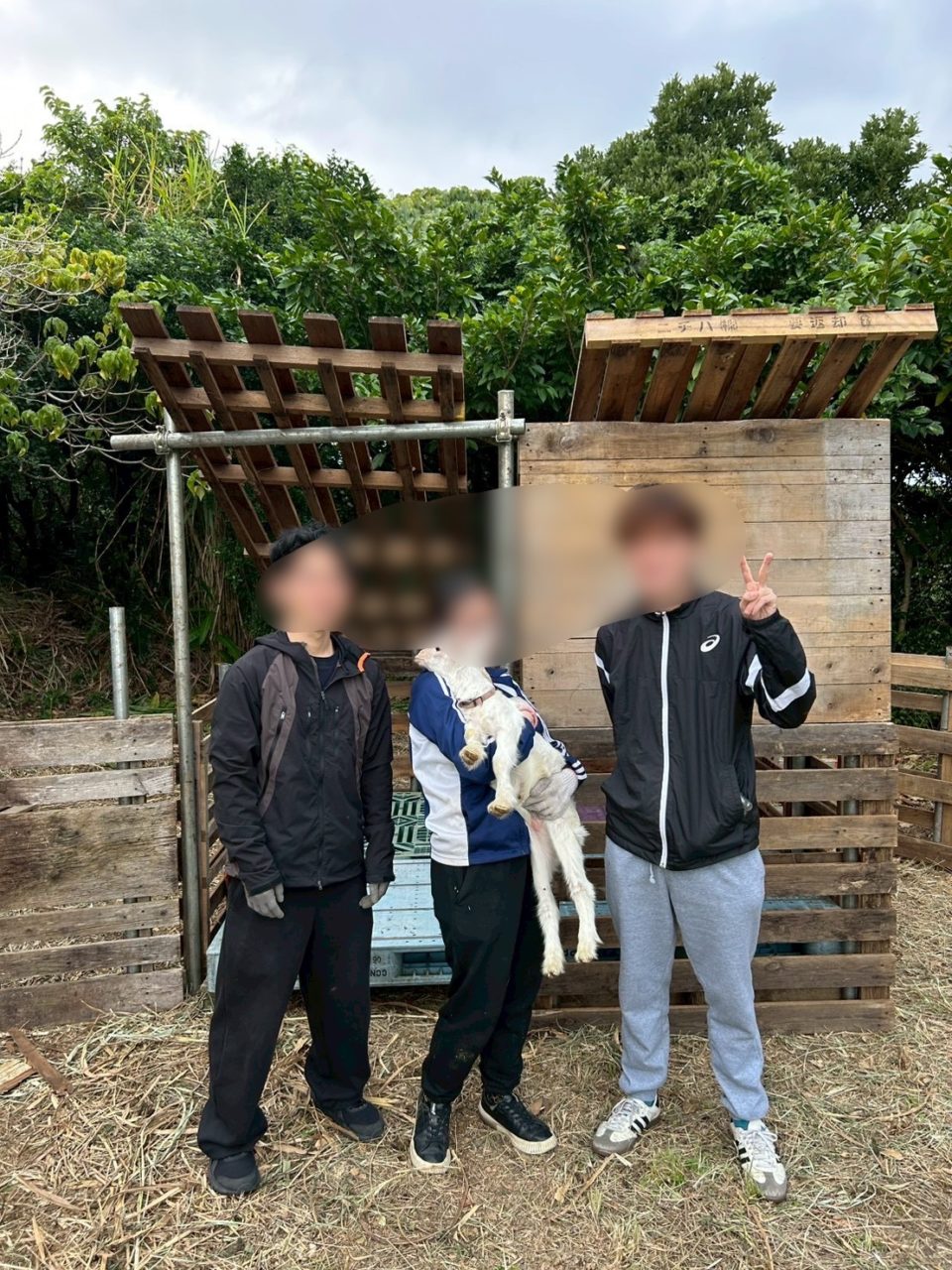 村おこしボランティア【与論島コース】での活動の様子