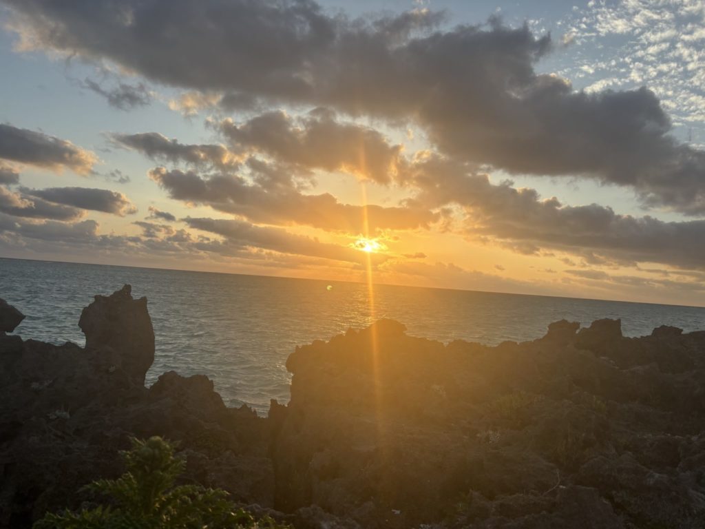 村おこしボランティア【与論島コース】での活動の様子