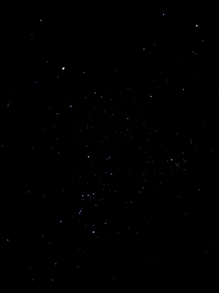 村おこしボランティア【悪石島コース】での活動の様子