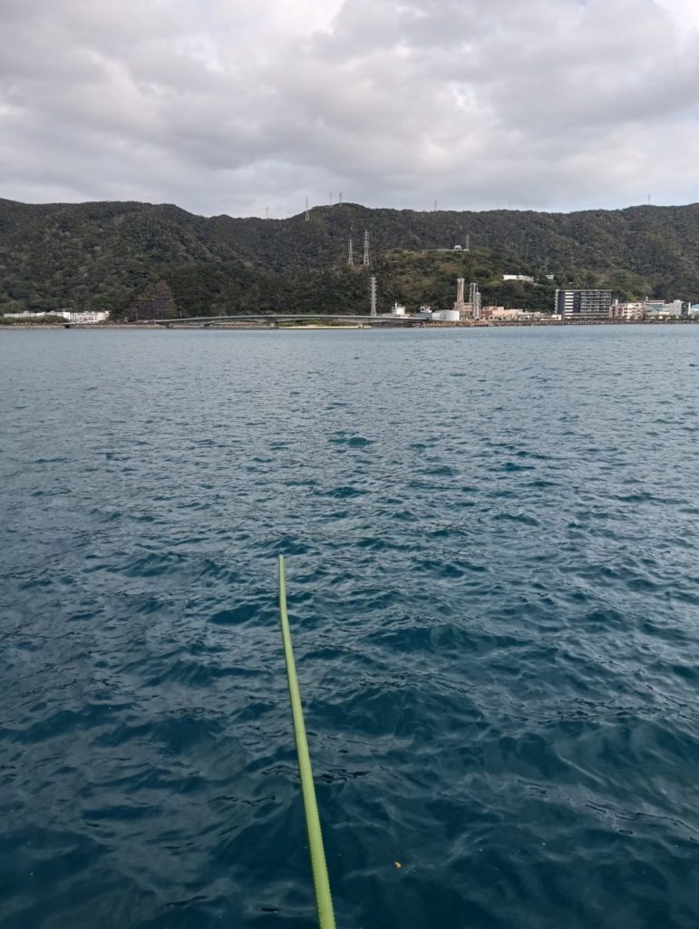 村おこしボランティア【奄美大島「100年先の未来へ」コース】での活動の様子