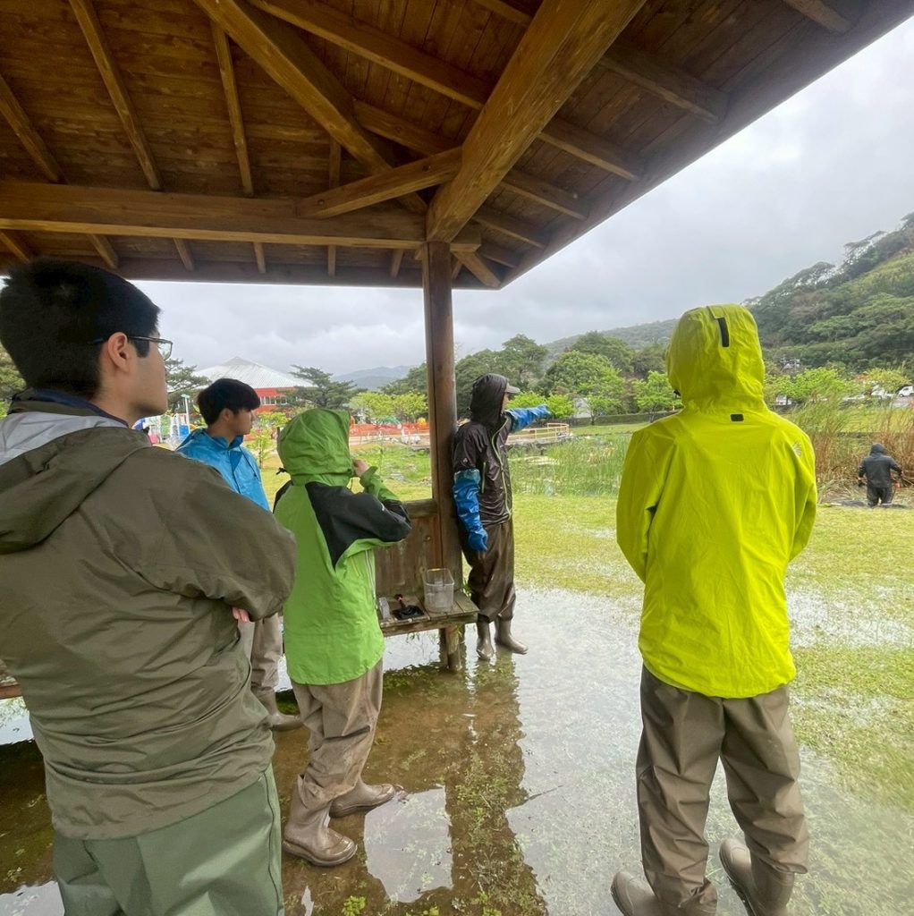 村おこしボランティア【奄美大島「100年先の未来へ」コース】での活動の様子