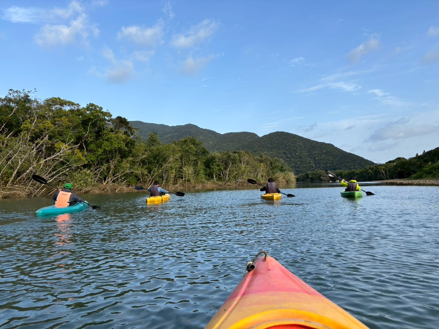 村おこしボランティア【奄美大島「100年先の未来へ」コース】での活動の様子