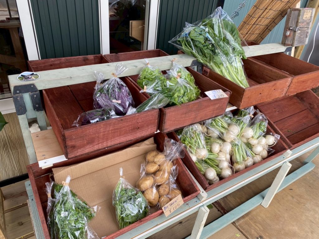 村おこしボランティア【奄美大島［北部］コース】での活動の様子