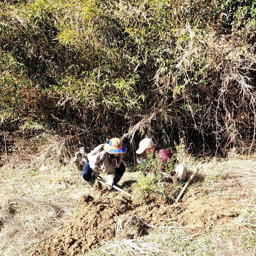 村おこしボランティア【江田島コース】での活動の様子