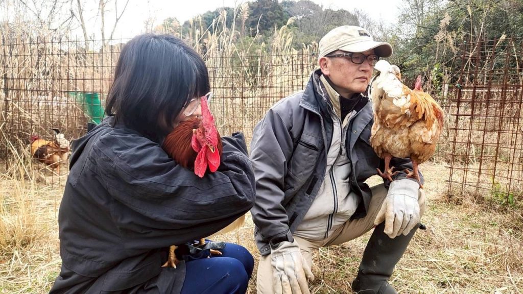 村おこしボランティア【江田島コース】での活動の様子