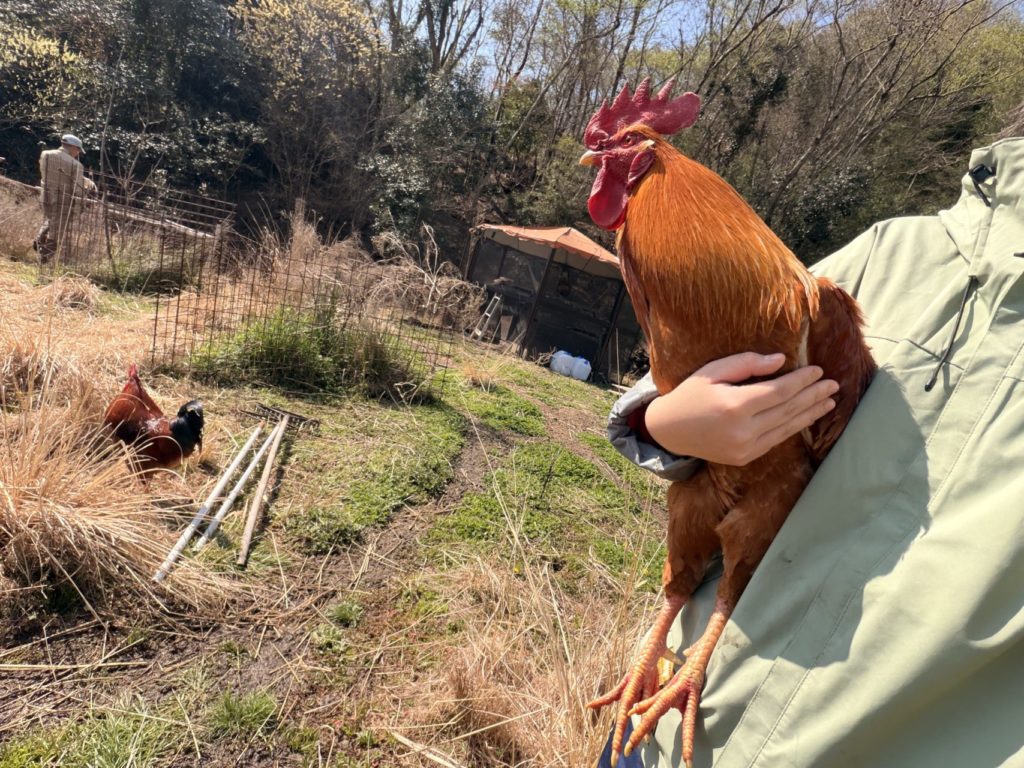 村おこしボランティア【江田島コース】での活動の様子