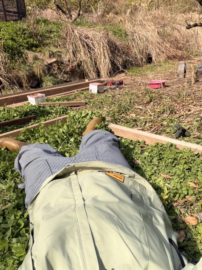 村おこしボランティア【江田島コース】での活動の様子