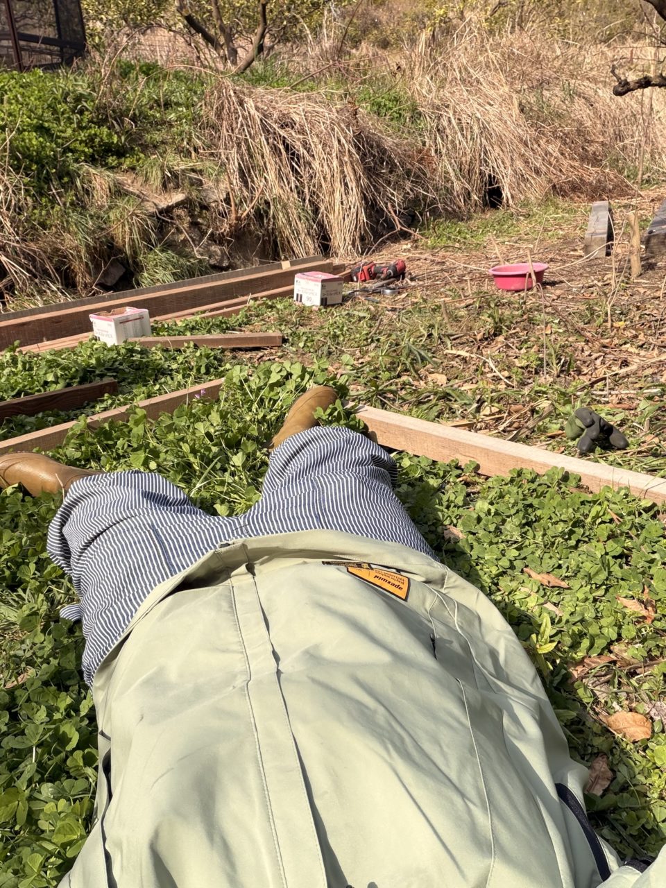 村おこしボランティア【江田島コース】での活動の様子