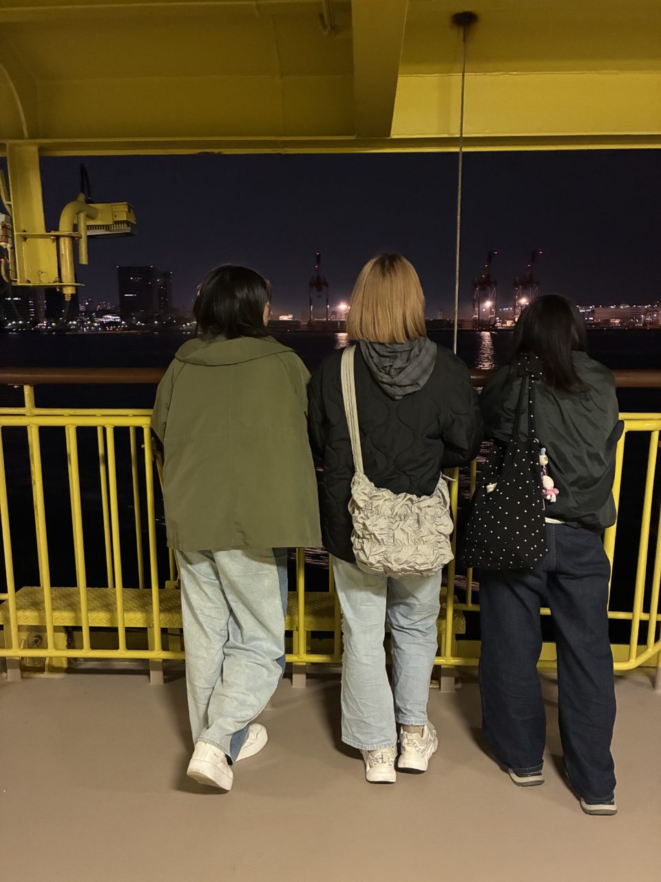 村おこしボランティア【八丈島コース】での活動の様子