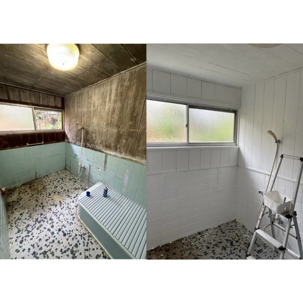 村おこしボランティア【八丈島コース】での活動の様子