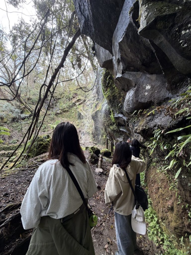 村おこしボランティア【八丈島コース】での活動の様子