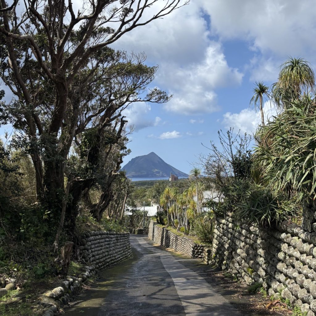 村おこしボランティア【八丈島コース】での活動の様子