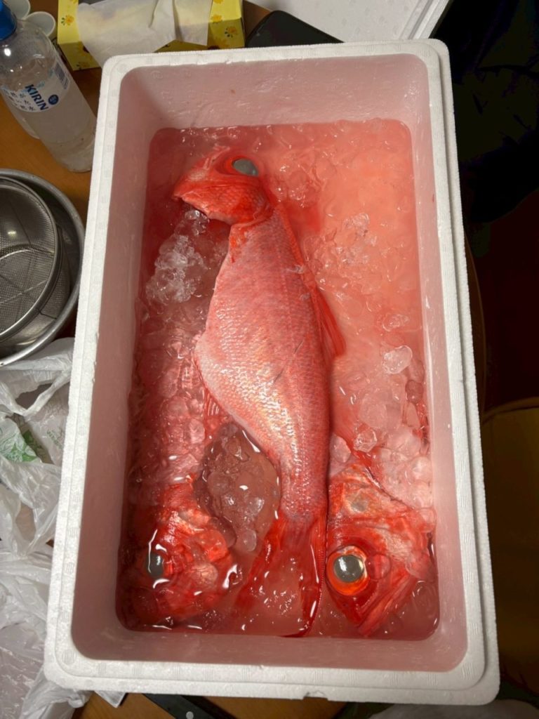 村おこしボランティア【八丈島コース】での活動の様子